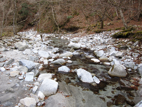 20200110hike (399)